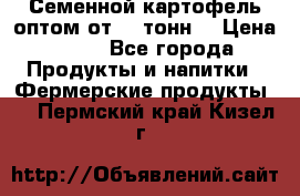 Семенной картофель оптом от 10 тонн  › Цена ­ 11 - Все города Продукты и напитки » Фермерские продукты   . Пермский край,Кизел г.